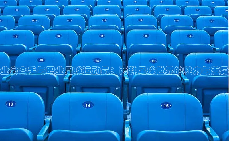 2121非凡体育app下载梯哥哥科技业余高手与职业足球运动员：两种足球世界的魅力与差异