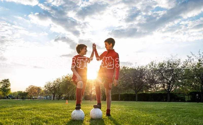 非凡体育官网网易优质运动赛事承办地：寻找最佳选择