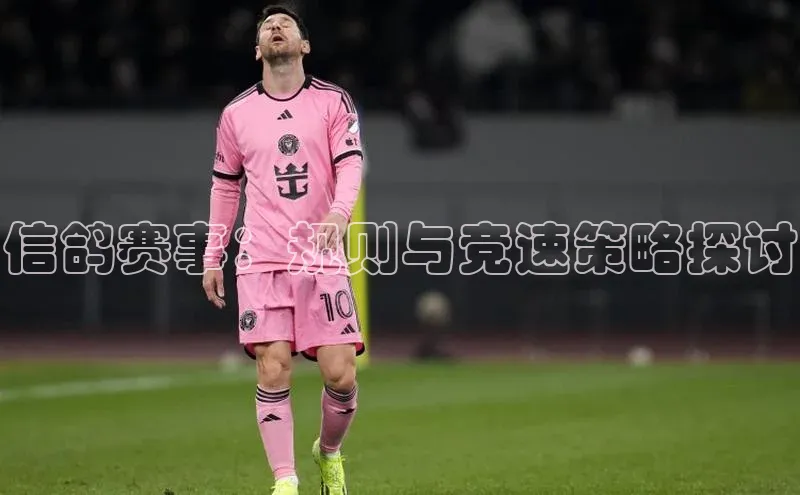 2121非凡足球网页版百度学术信鸽赛事：规则与竞速策略探讨