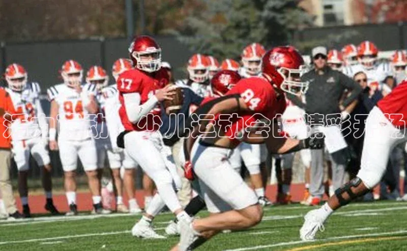 2121非凡体育登录入口百度游戏活力萌动：少儿运动会的精彩开场