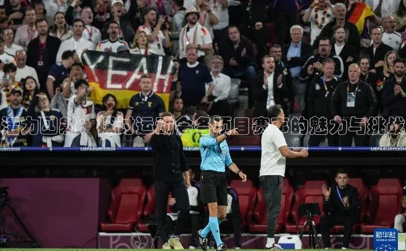 活力四射：探讨运动会各项目赛事的魅力与挑战