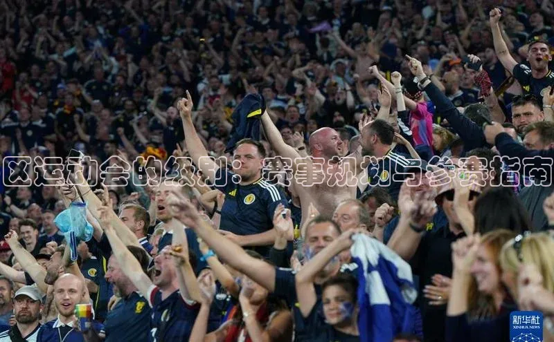 区运动会的级别：赛事规划与参赛指南