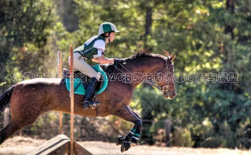 汨罗江畔的荣耀：2024汨罗运动赛事回顾与展望