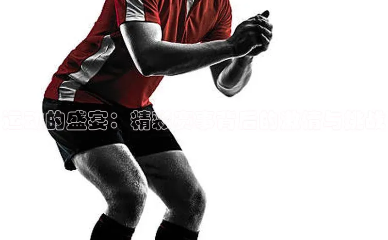 运动的盛宴：精彩赛事背后的激情与挑战