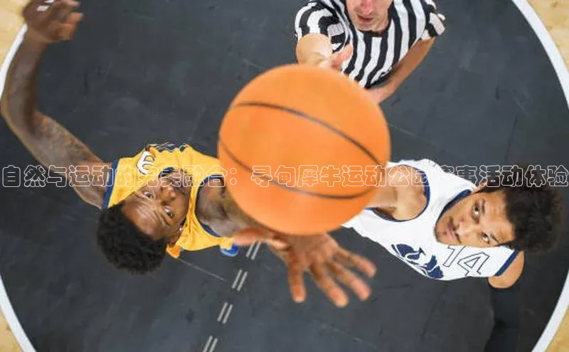 自然与运动的完美融合：寻甸犀牛运动公园赛事活动体验