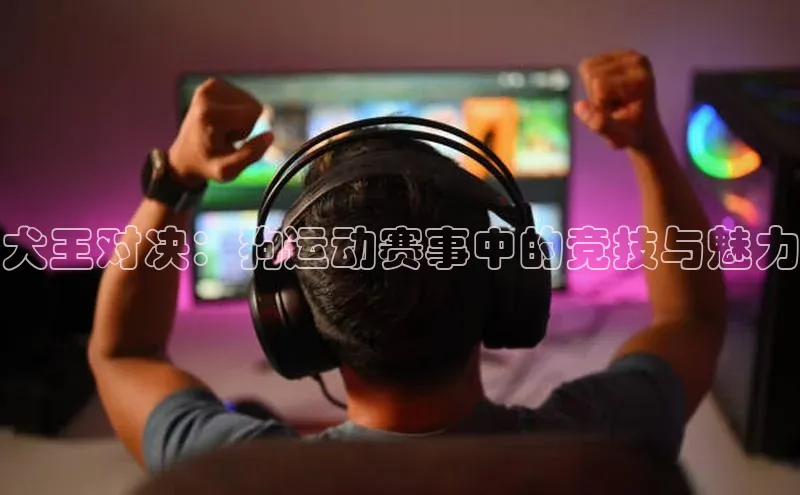 犬王对决：狗运动赛事中的竞技与魅力