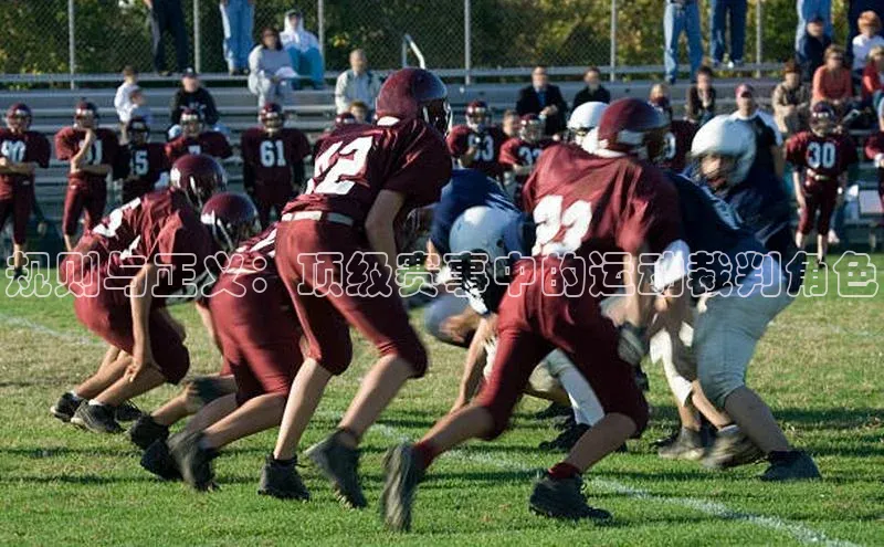 规则与正义：顶级赛事中的运动裁判角色