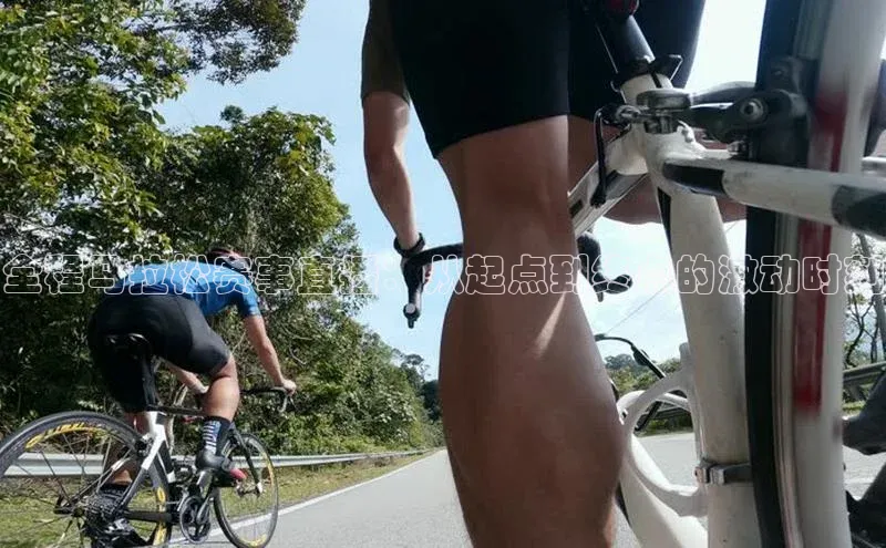 全程马拉松赛事直播：从起点到终点的激动时刻