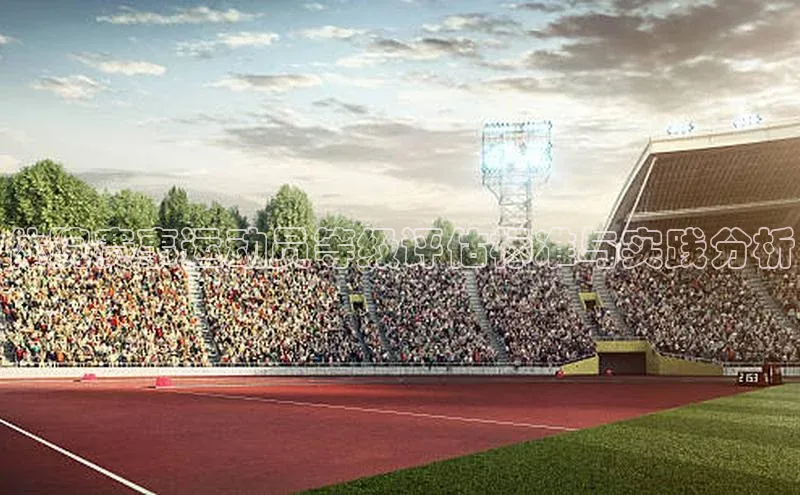 体院赛事运动员等级评估标准与实践分析